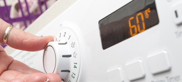 What's the Big Deal About Temperature?